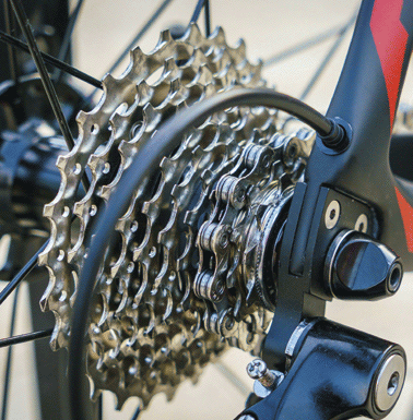 bici
